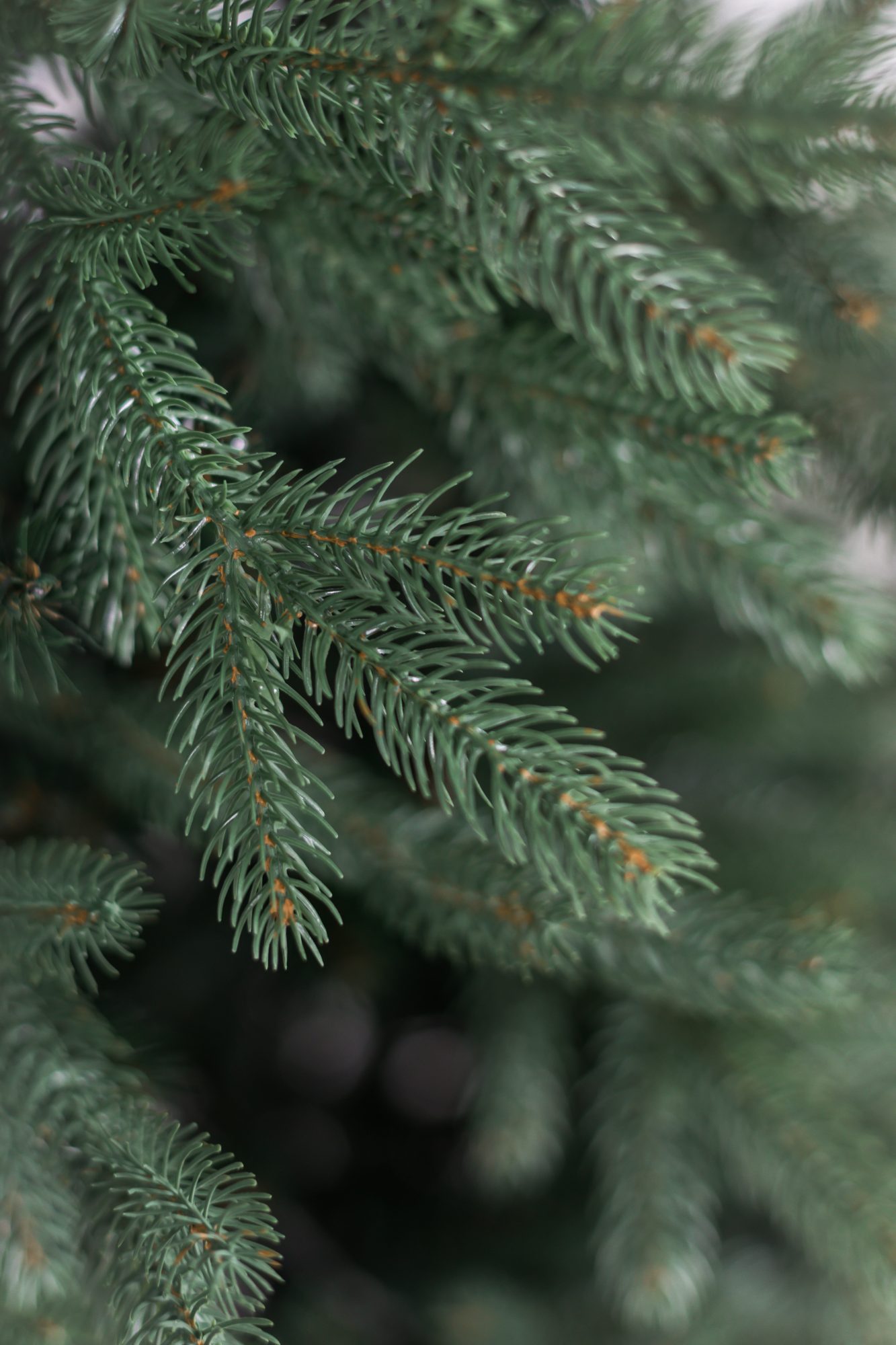 картинка Ель искусственная "Императрица" 2,2 м (94220) | велосалон Драйв г. Липецк
